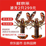 鲜京采【保活】鲜活波士顿龙虾800-1000g/2只 保活到家 源头直发年货