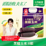 十月稻田 黑糯玉米 3.52斤(220g*8根) 东北玉米 杂粮粗粮 低脂早餐