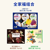 八喜冰淇淋全家福组合 经典六合一 甜筒 mini棒 17件 970g