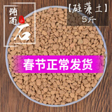 德沃多多肉土颗粒植物土壤种植基质铺面石盆栽养花绿萝兰花通用型营养土 硅藻土5斤