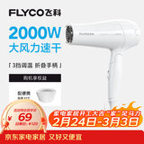 飞科（FLYCO）电吹风机家用发廊大功率2000W速干恒温便携可折叠白色FH6232