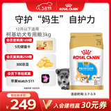 皇家柯基狗粮 幼犬粮  中型犬 12月以下 全价粮CGJ29 3KG【骨骼呵护】