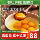 杨博士  皖南土鸡蛋初生蛋60枚 净重3.6斤 宝宝蛋草鸡蛋源头直发