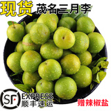 枫小七茂名钱排三华李信宜新鲜三月李早李应季酸脆孕妇水果李子生鲜现摘 三月李1斤大果精选（35-50个/斤）净重450g