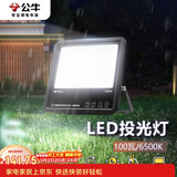 公牛（BULL）LED投光灯庭院灯工地灯园林照明露营灯 IP65防水100W-6500K白光
