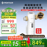 滨特尔（pentair）前置过滤器大通量家用全屋自来水管道过滤器大流量净水器排行前十名水驱涡轮+反冲洗刮洗净水器 【自主安装】S260全自动-40μm