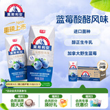 光明莫斯利安蓝莓味酸奶200g*24盒营养早餐酸奶量贩装送礼