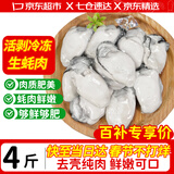 优牧冠 冷冻生蚝肉  新鲜活剥牡蛎肉 海蛎子 生鲜  海鲜水产 年货送礼 【免处理大号】生蚝肉 净重4斤