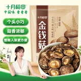 十月稻田 金钱菇 200g 干香菇 小香菇 山珍菌菇干货 煲汤火锅炒菜食材