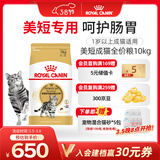 皇家美短成猫粮 ASA31 通用粮 12月以上 10KG