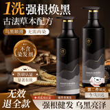 儒意（RUYI）何首乌黑发洗发水500g 黑灵芝柔顺亮泽控油蓬松植萃滋润养护发
