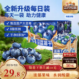 三只松鼠每日蓝莓干256g/16包 无添加水果干果脯小包装儿童老人办公室零食