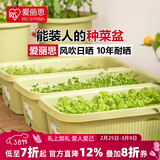 爱丽思（IRIS）种菜盆蔬菜种植箱塑料菜盆特大号阳台种菜神器户外花箱种花菜盆 热款 大(70cm长）茶色 送隔网