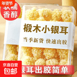 京喜加【东东买菜】小朵银耳菌古田无硫正宗白木耳干货软糯雪耳新鲜袋装 1袋净重100克  福建干小银耳