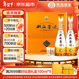 双沟珍宝坊 圣坊 42度(500ml+20ml)*2瓶 礼盒装 浓香型白酒 年货送礼