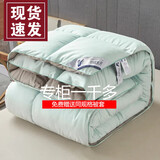 Lady Laura富安娜出品羽绒被95白鹅绒被冬被加厚保暖白鸭绒被春秋被子单双人 艾绿灰 200*230cm  8斤 冬被