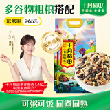 十月稻田 七色糙米 5斤 糙米饭 粗粮主食 新米 黑米 健身粥米 五谷杂粮米