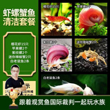 云峰海瑞鱼缸观赏虾活体虾鱼缸工具虾除藻活虾鱼缸除藻除藻虾黑壳虾五彩虾 虾螺蟹鱼清洁装套餐（会生小虾 送尝鲜虾粮）