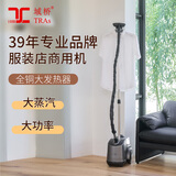 域桥 挂烫机家用服装店商用大蒸汽大功率熨烫机全铜芯手持烫衣服烫衣机立式2000W 灰色2000瓦