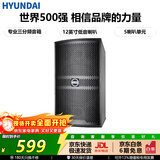 HYUNDAI现代音响 音箱 家庭影院 KTV音响 家用组合 专业K歌 会议 舞台设备 【HY12S】12英寸专业竖箱/单只装