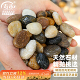 寿禾 鹅卵石鱼缸装饰造景天然石头庭院花盆铺面 0.8-1.5cm鹅卵石5斤