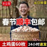 乡公馆土鸡蛋新鲜农家散养谷物喂养无抗土鸡蛋柴笨鸡蛋草鸡蛋新鲜整箱装 土鸡蛋60枚  整箱2.4kg