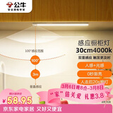 公牛（BULL）感应橱柜灯衣柜灯LED人感光感磁吸 卧室床沿玄关小夜灯30CM4000K
