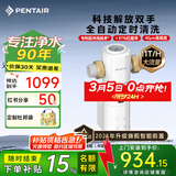 滨特尔（pentair）前置过滤器大通量家用全屋自来水管道40μm过滤器大流量水驱涡轮+反冲洗刮洗净水器 【上门安装】S260全自动11T/H