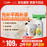 立邦墙面修复补墙膏荷净补墙漆防水防霉抗菌腻子膏白色 500g+2.5kg
