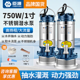 臣源潜水泵220V家用水井水抽水泵不锈钢农用小型污水泵灌溉浇菜高扬程 750W/1寸不锈钢清水泵【10米线+10米水带】