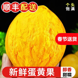 【顺丰空运 48小时内发】新鲜鸡蛋果 海南蛋黄果 狮头果热带水果 精选大果 单果200-350g 2000g