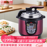 双喜 小容量迷你电压力锅宿舍单身厨具电高压锅电压锅家用电饭锅电饭煲迷你小1-2-3人 【迷你容量 1-2人】 2L