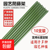 爬藤架黄瓜豆角西红柿架植物支撑杆园艺花架葡萄庭院户外牵引架 直径11mm长度150cm【10支】