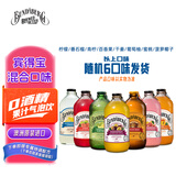 宾得宝（Bundaberg）含气饮料混合装375ml*6瓶 8口味随机发货 澳洲网红春日果汁气泡水