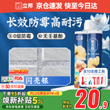 立邦美缝剂甄美缝十大品牌地砖瓷砖填缝剂美缝胶耐水防霉 闪亮银