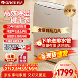 格力（GREE）【干衣除湿】除湿机抽湿机家用20升/天单间≤40㎡低噪除潮回南天除霉干衣智能控湿24H定时DH20EF