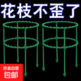 植物支撑杆爬藤架工具植物支架通用型花架拼接园艺兰花阳台花架子 自由组装（可拼3层）18根 材料厚实  经久耐用