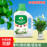 植物营养液通用型家用盆栽发财树富贵竹绿萝水培花卉绿植蔬菜肥料 水培营养液500ml×1瓶