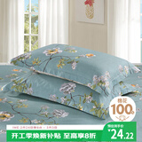 艾薇 A类枕头套纯棉家用全棉单人枕套一对枕芯套 清馨花园 48*74cm