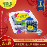 怡颗莓Driscoll's云南蓝莓Jumbo大果18mm+2盒装约125g/盒 水果年货礼盒