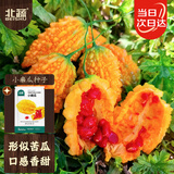 北蔬 小癞瓜种子种苗赖葡萄金铃子味甜苦瓜蔬菜种籽 小癞瓜种子20粒