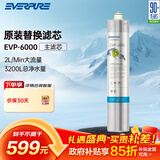 爱惠浦 Everpure EVP-6000 净水器主滤芯