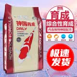 神阳锦鲤鱼饲料不浑水上浮鱼粮增色增肥金鱼观赏鱼粮锦鲤鱼食育成色杨 10kg【育成】大粒(约6mm)