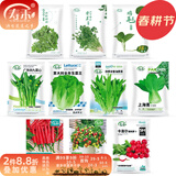 寿禾 20天鸡毛菜种子四季小青菜冬春季蔬菜小白菜油菜上海青阳台菜籽 【四季种】10种蔬菜种子套餐