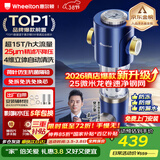 惠尔顿前置过滤器15T大通量过滤25微米反冲洗家用全屋净水器 实时自动清洗刮洗自来水防爆过滤器P0038pro 上门安装【15T-升级25微米精滤】
