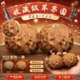 逍遥游核桃文玩苹果园狮子头核桃文玩把玩文玩核桃京东自营41-43mm