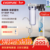 爱惠浦（Everpure） 家用矿物质厨下净水器 大流量0废水直饮 1.8L/分钟3500L处理量 EF-900P Plus