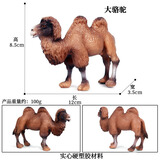 Oenux仿真动物模型玩具大象老虎恐龙海洋1-3-6岁宝宝婴儿童男女孩礼物 骆驼(实心环保无味)