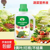 植物营养液通用型家用盆栽发财树富贵竹绿萝水培花卉绿植蔬菜肥料 蔬菜营养液500ml×1瓶
