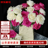 京东鲜花玫瑰花随机颜色30枝(2-3种颜色)如意基地鲜切花生活花束源头直发